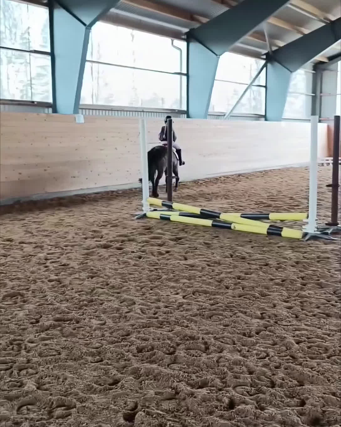 Allround hästar till salu: Barnponny som älskar skogsturer  i Nässjö - Video 1