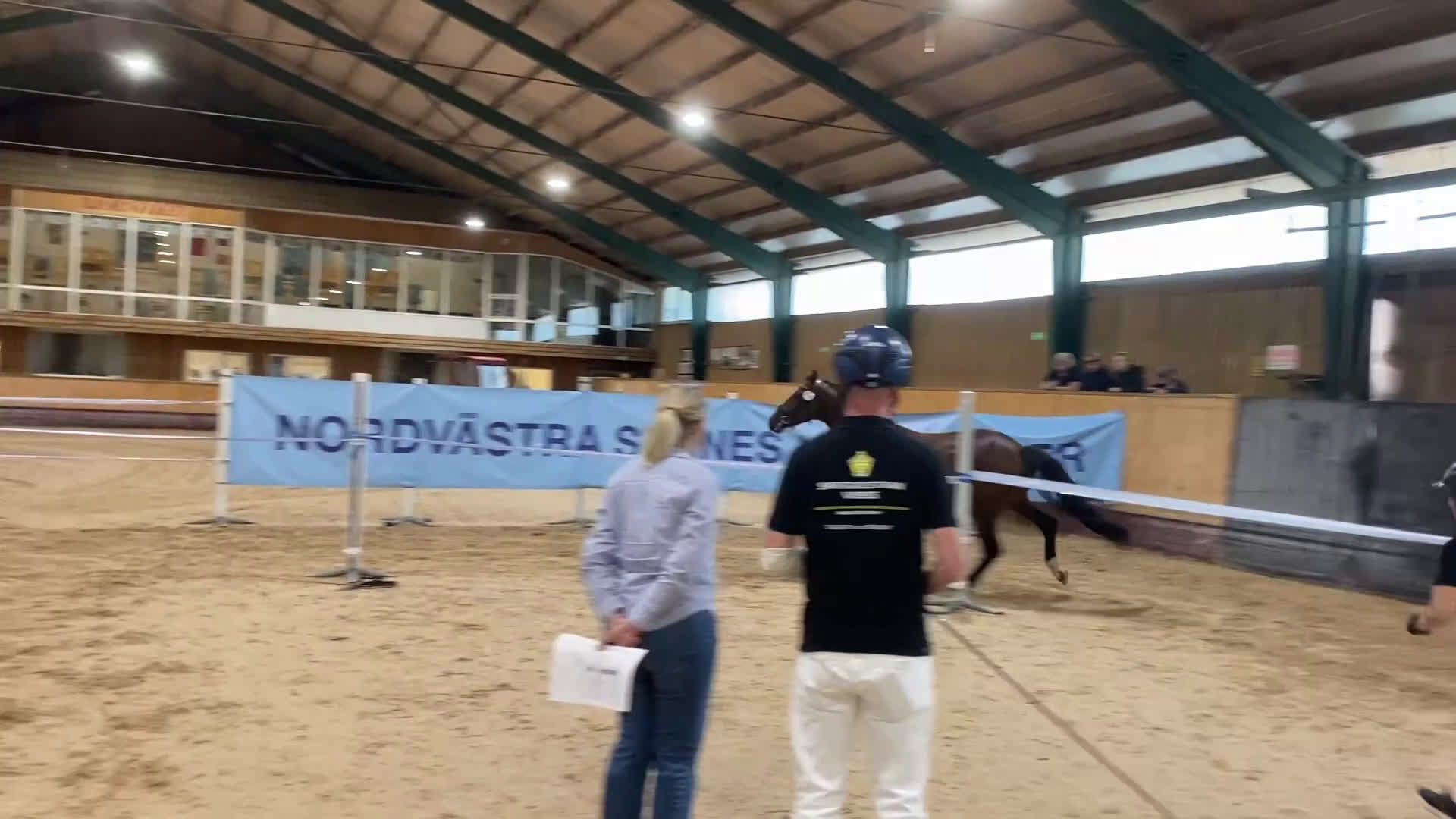 Allround hästar till salu: Kanesson RG e. Kane - en kompis för det mesta i Hallaröd - Video 2