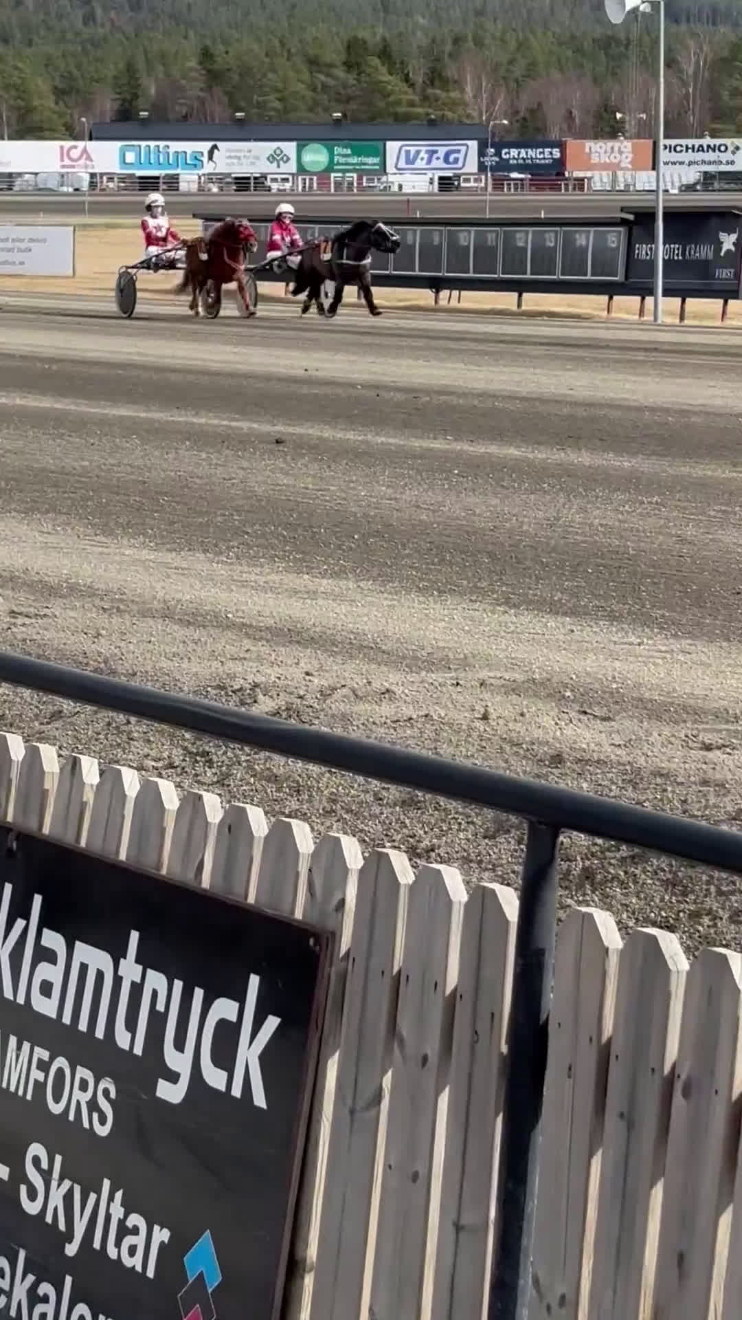 Trav hästar till salu: Olaf - fartfylld och charmig ponnytravare i Östersund - Video 1