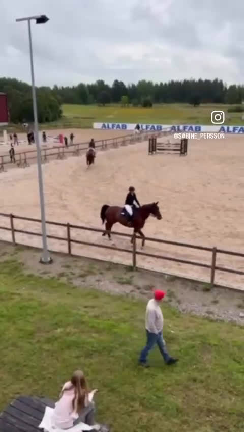 Hoppning hästar till salu: Toppstammad tävlingshäst - Video 1