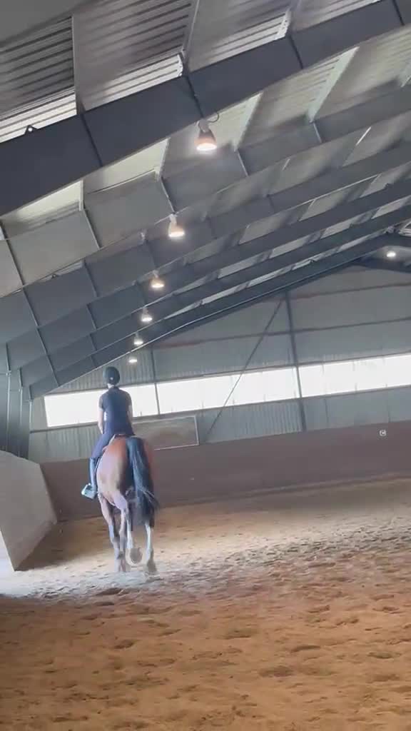 Allround hästar till salu: Underbar 7årig valack säljes ♥️ i Säve - Video 5