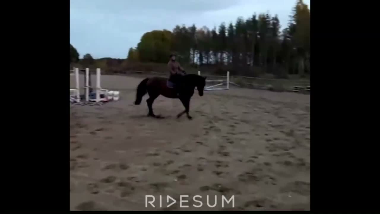 Allround hästar till salu: Trygg och okomplicerad läromästare i Älvkarleby - Video 4