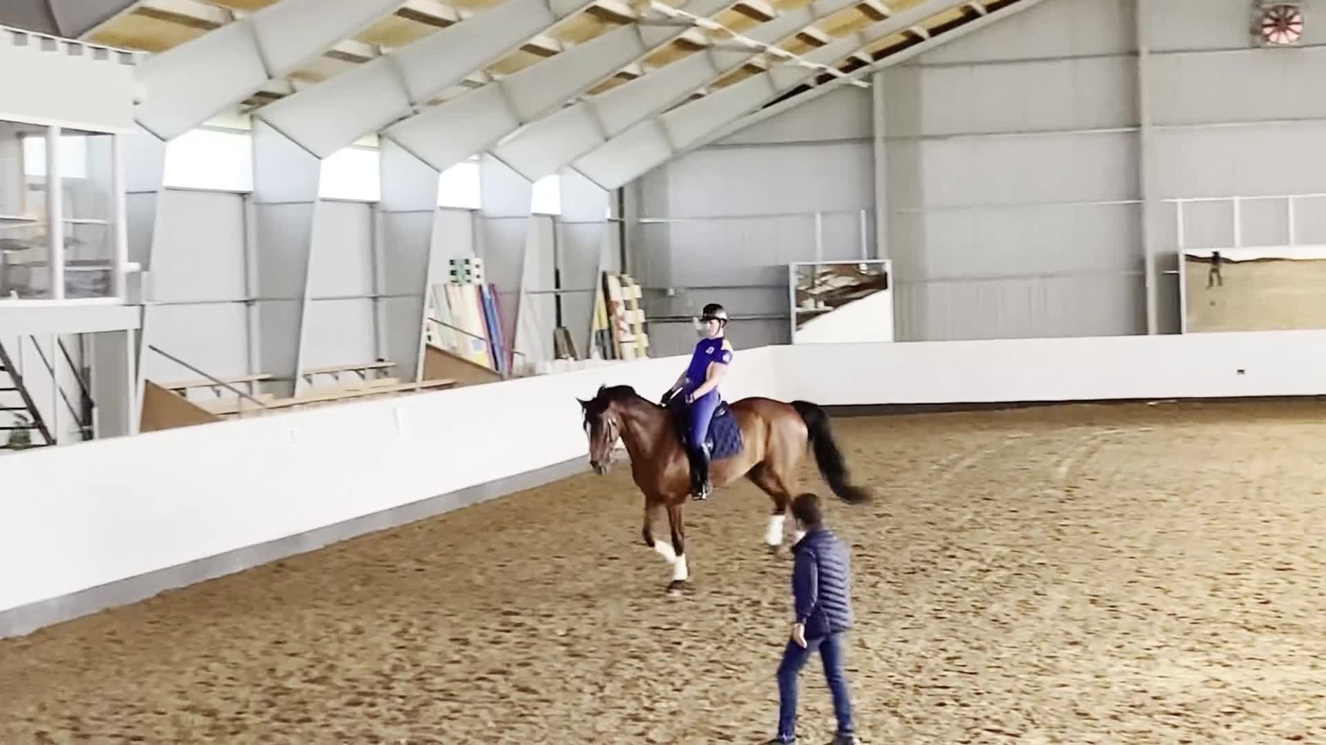 Dressyr hästar till salu: Elegant dressyrsto med utstrålning  - Video 2