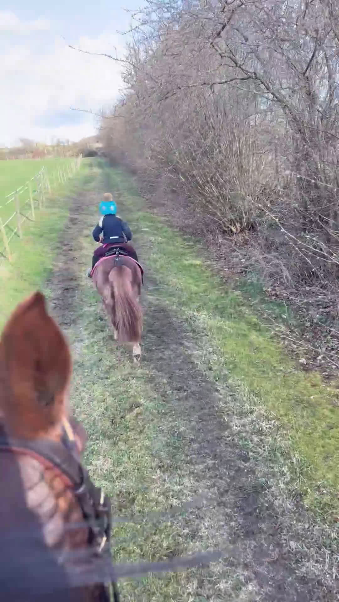 Allround hästar till salu: Underbar barnponny i Kristianstad - Video 3