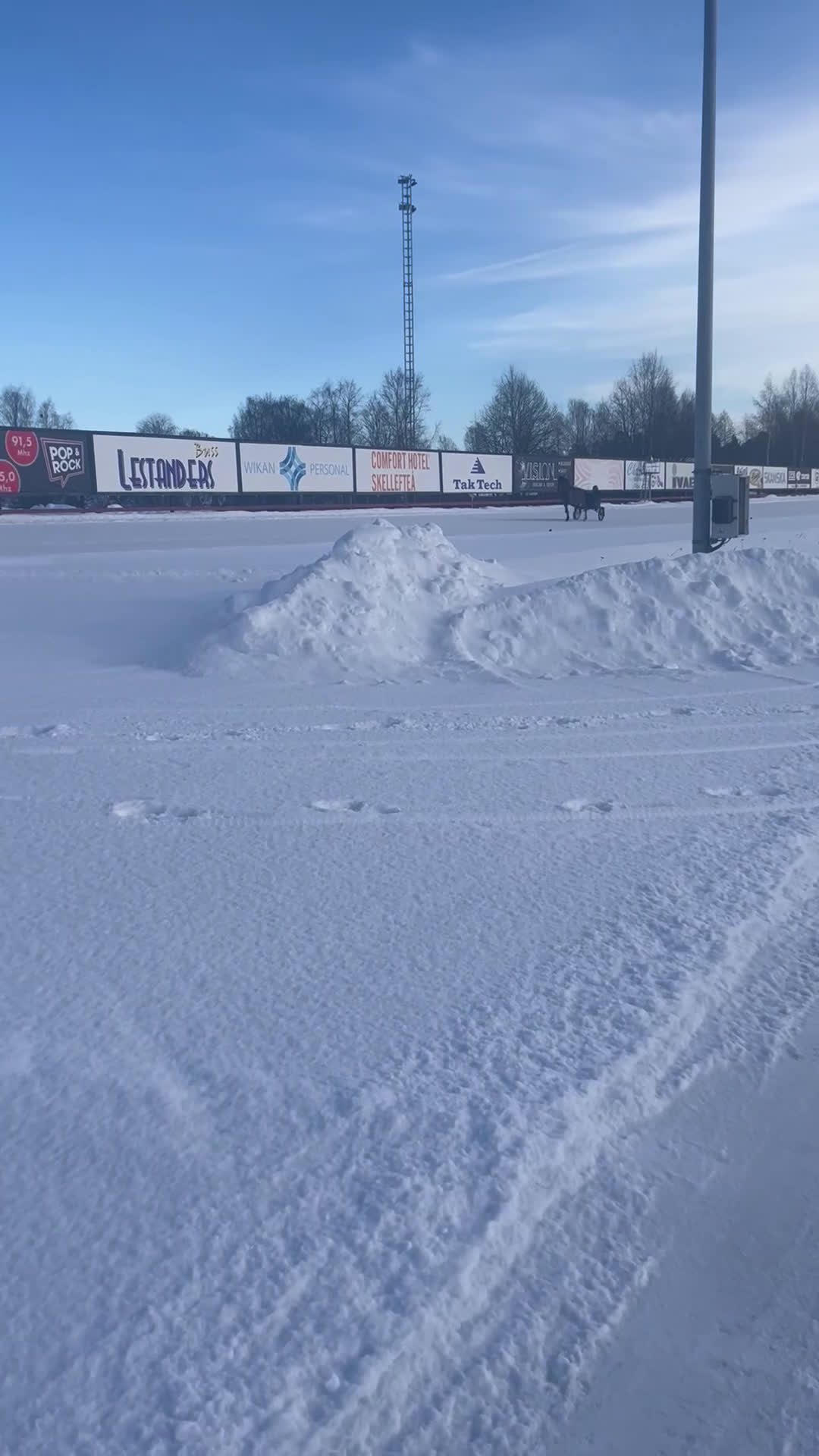 Trav hästar till salu: 4-årigt travsto i Skellefteå - Video 1