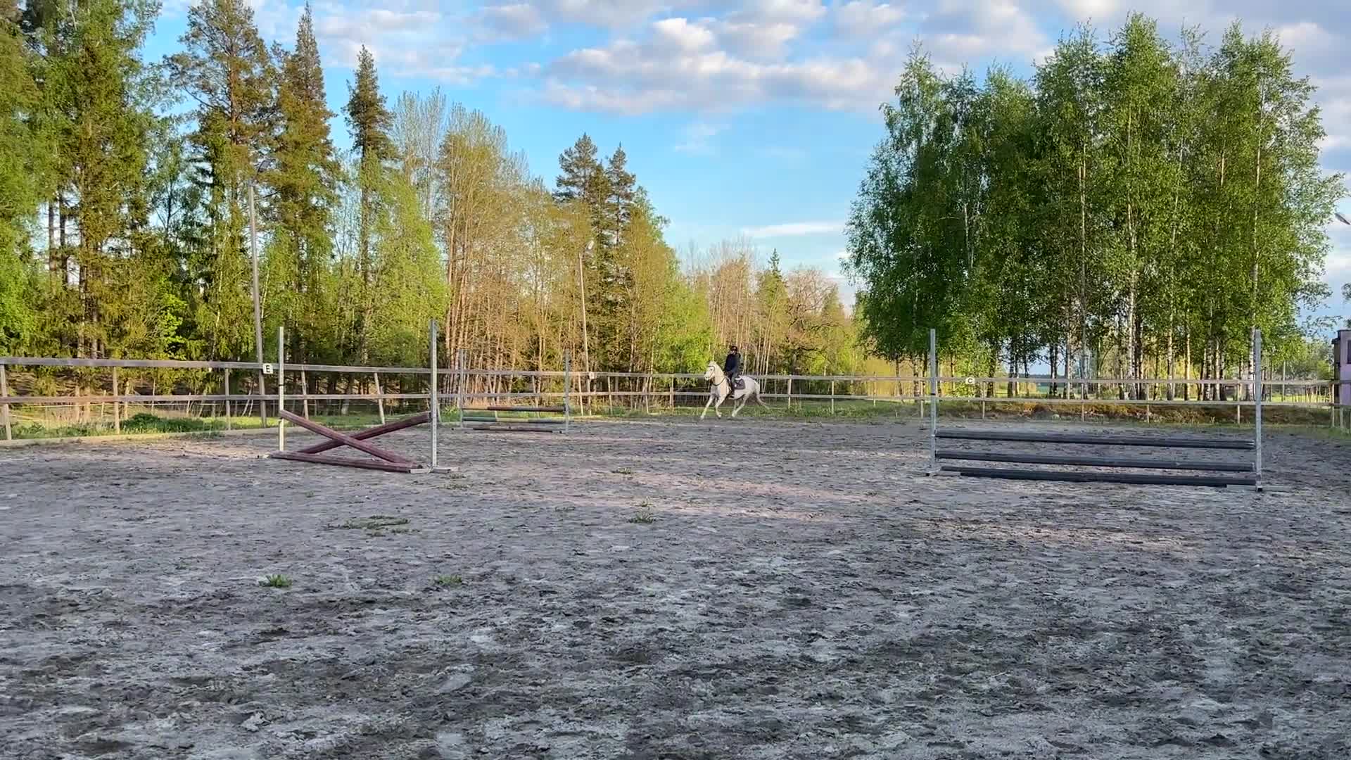 Allround hästar till salu: Fint Welshsto med utstrålning - Video 3