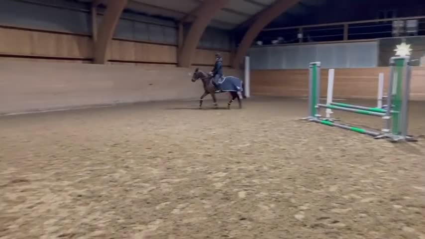 Allround hästar till salu: Fantastisk 3årigt sto  - Video 1