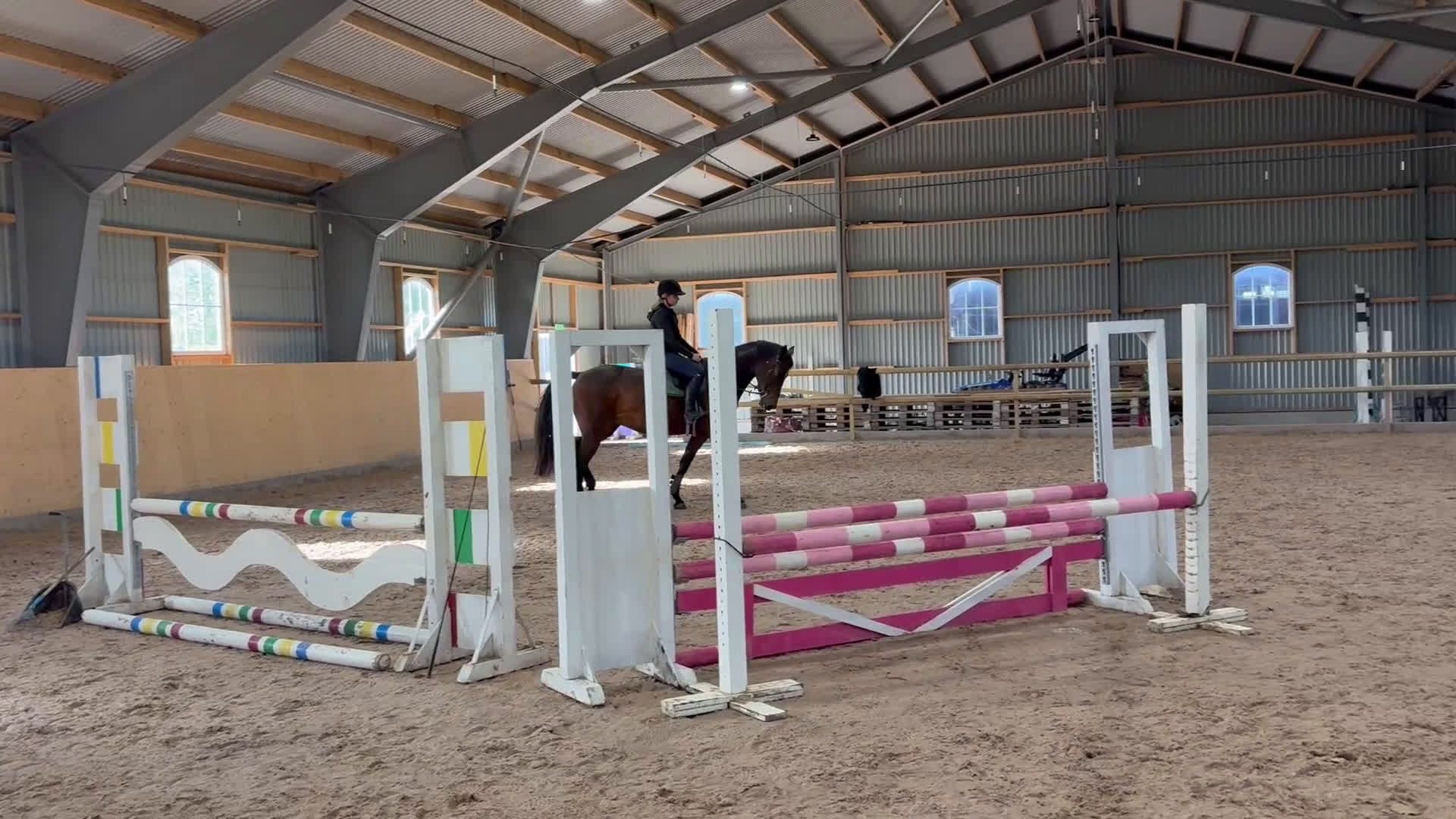 Allround hästar till salu: Lyxig Hobbyhäst i Tomelilla - Video 2