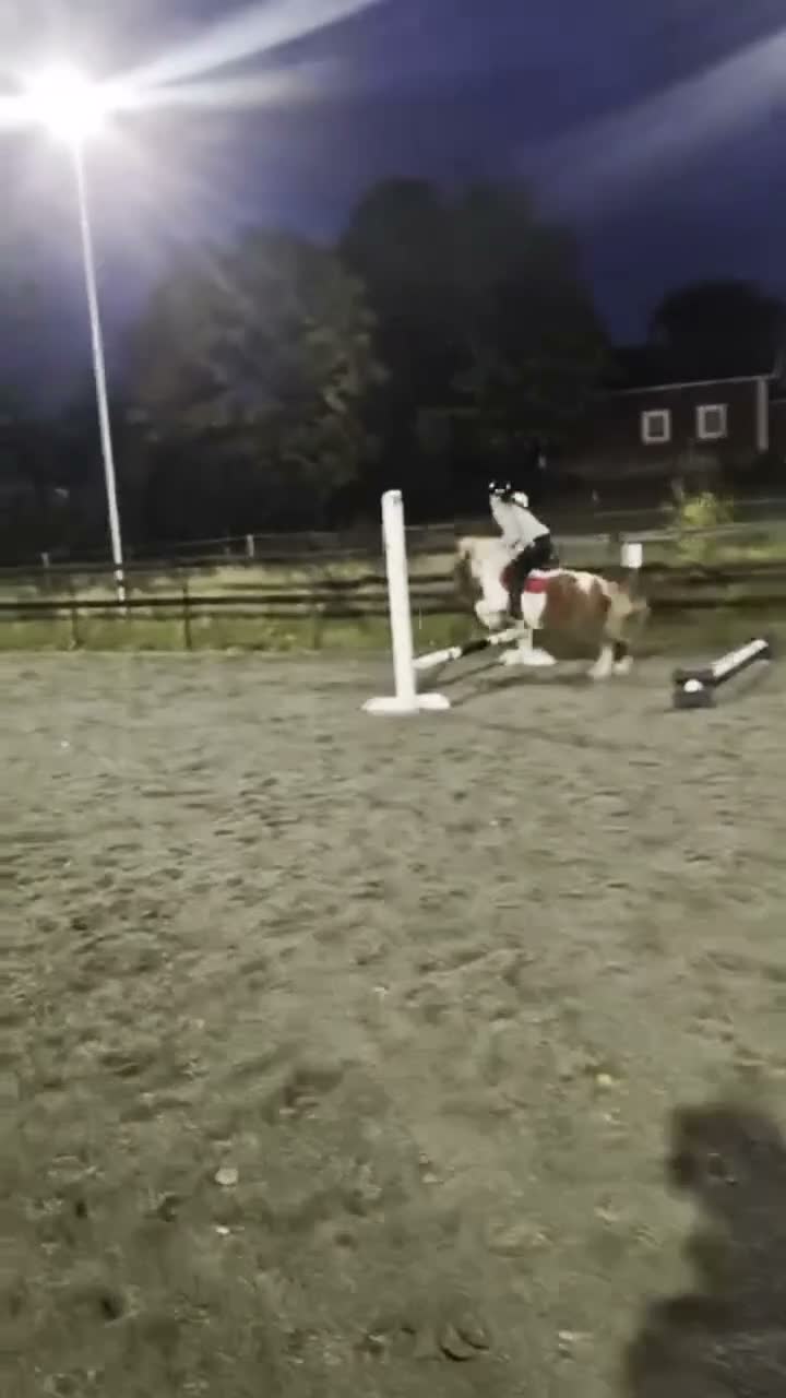 Allround hästar sökes: Jag söker medryttarhäst i Norrköping! i Norrköping - Video 1