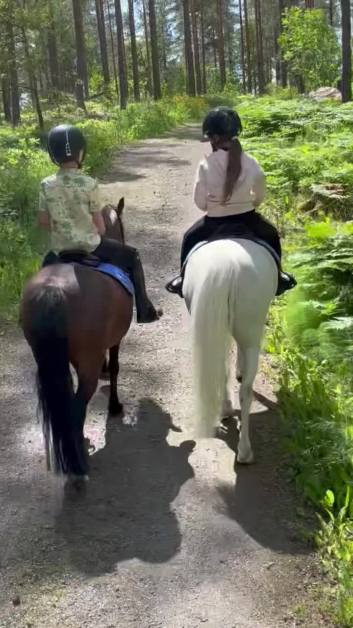  medryttarhäst finnes: Medryttare till b-ponny sökes, Dalby Uppsala. i Uppsala - Video 1