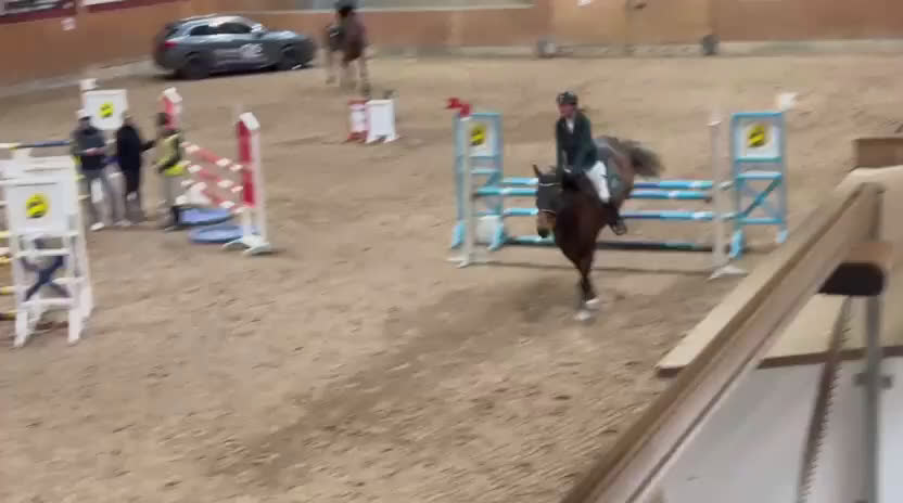 Allround hästar till salu: Snäll valack i Umeå - Video 1