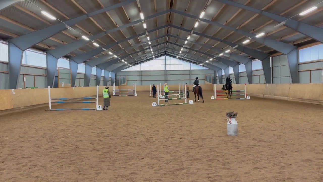 Hoppning hästar till salu: Superfin sporthäst!  - Video 1