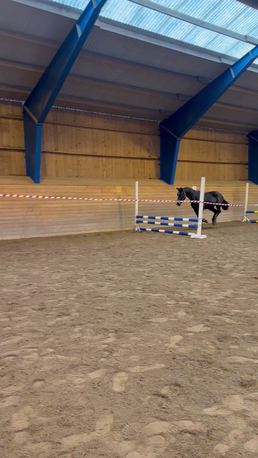 Allround hästar till salu: Godhjärtad Framtidsponny  i Nora - Video 1