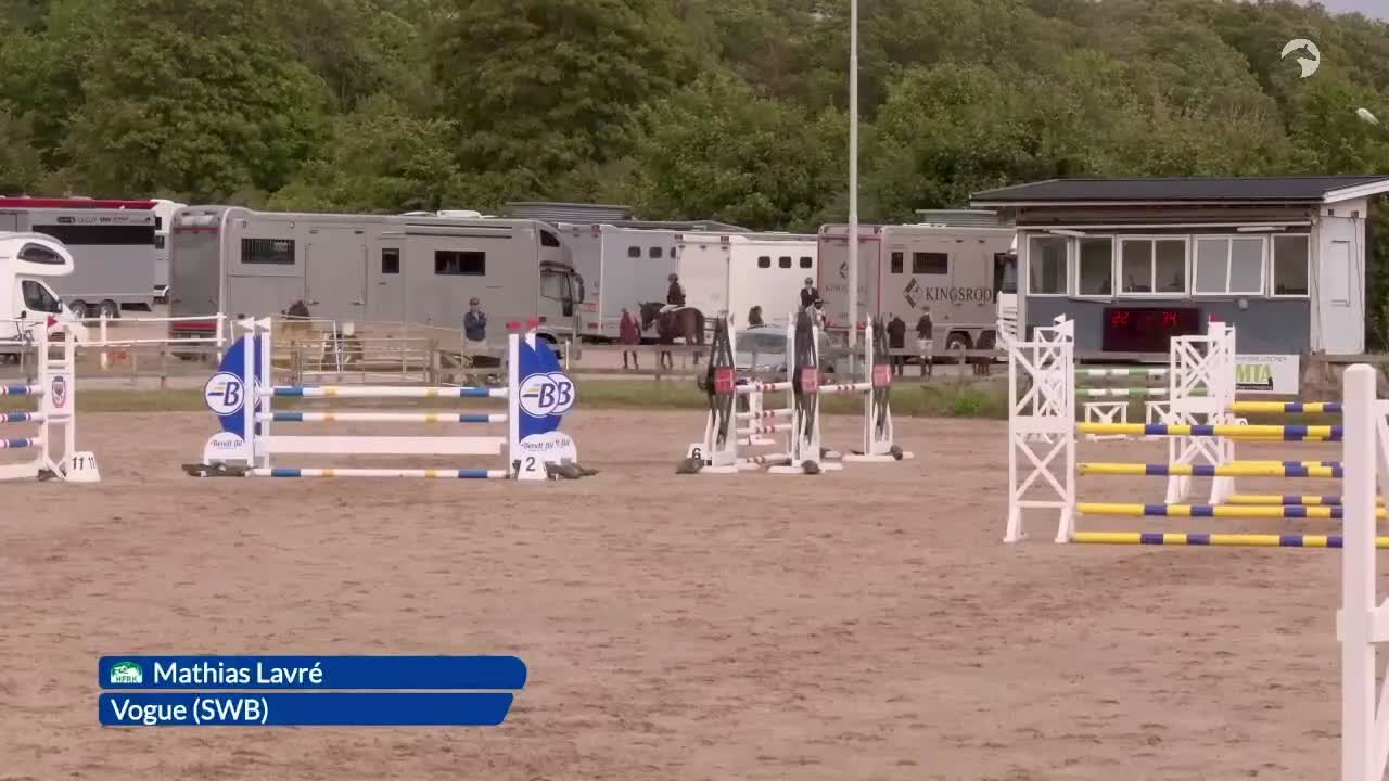 Hoppning hästar till salu: Fråck Children/Juniorhäst. - Video 1