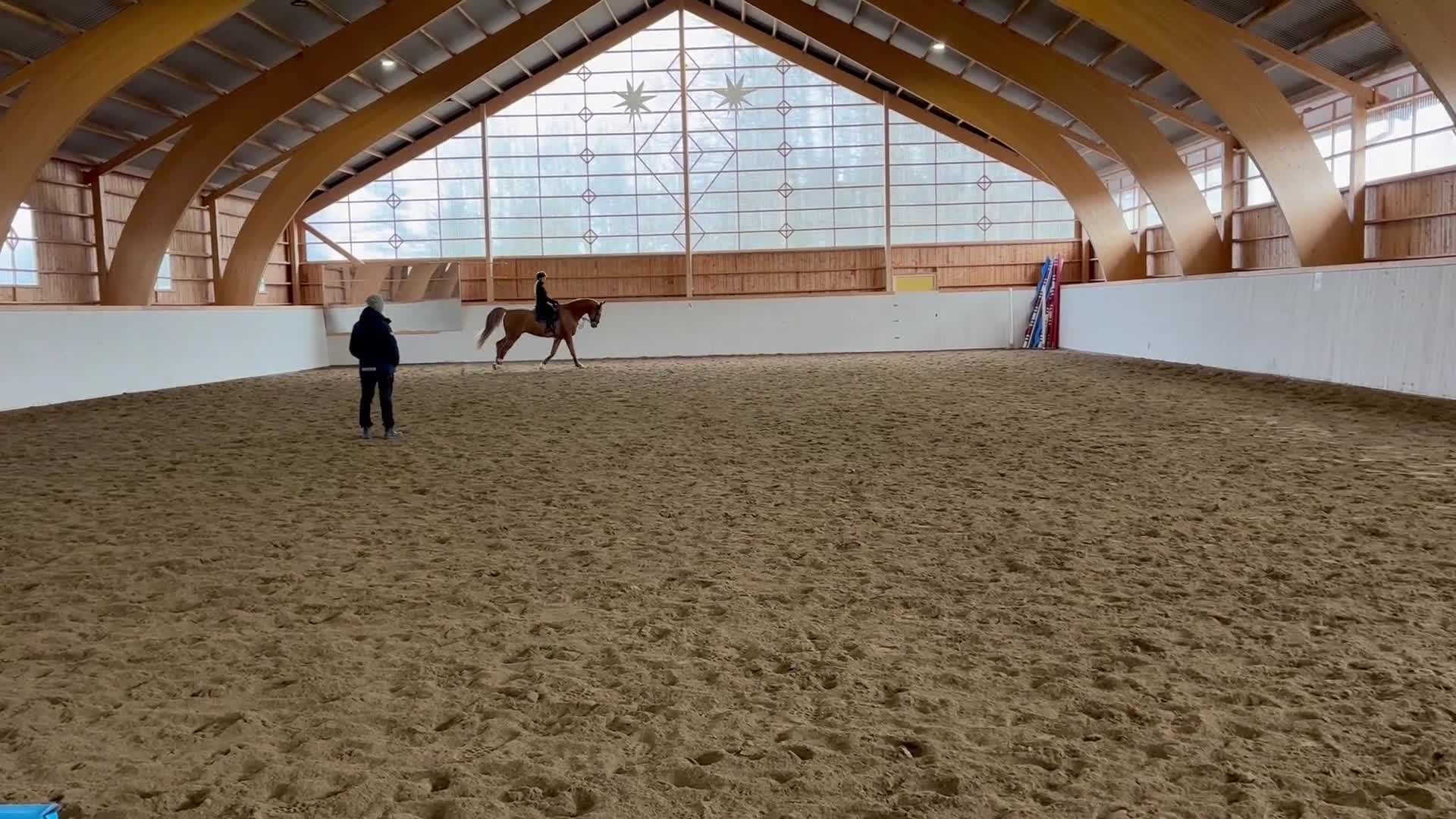 Hoppning hästar till salu: Fantastisk läromästare letar nytt hem! - Video 4