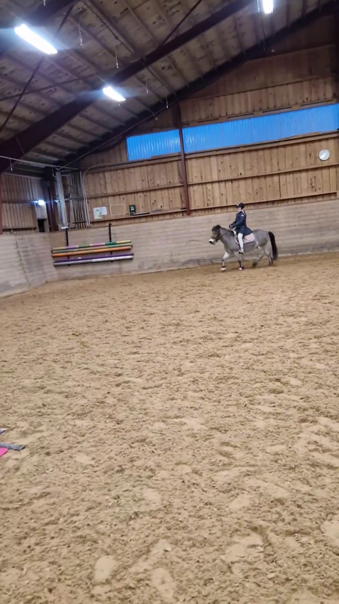 Allround hästar till salu: Snäll barnponny  - Video 2