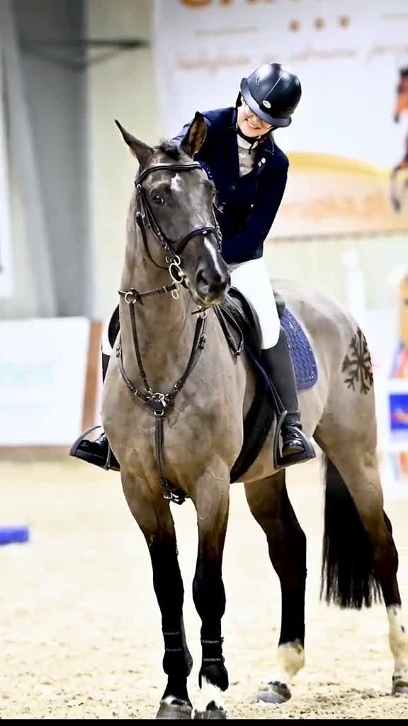 Hoppning hästar till salu: Talangfull hopphäst med stor potential  i Stockholm - Video 1