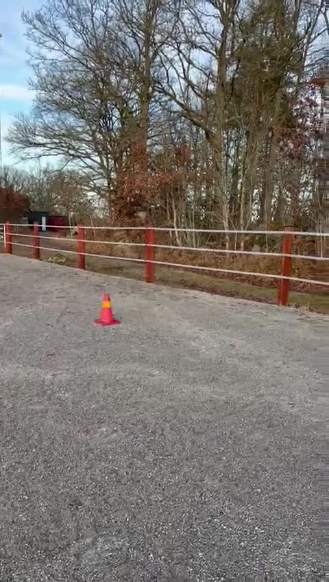 Allround hästar till salu: Supersöt B-ponny till verksamhet/tävling - Video 5