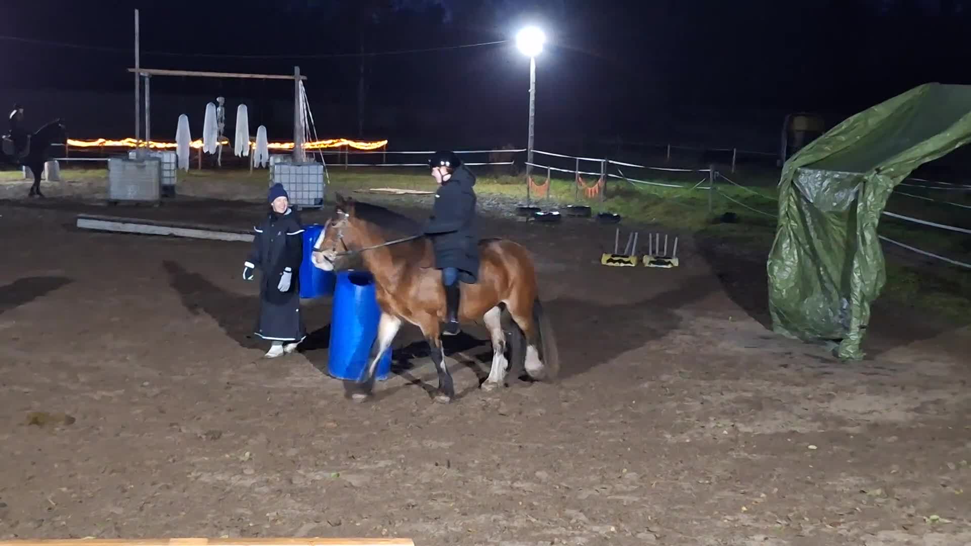Allround hästar till salu: Maxad C-ponny - Video 1
