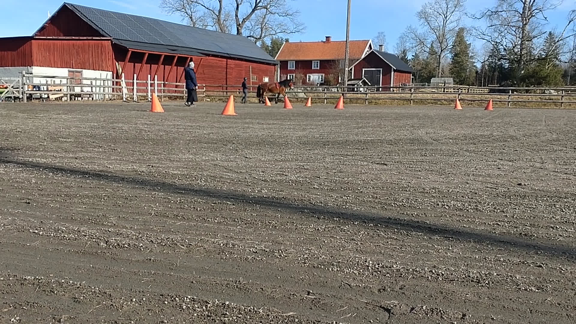 Allround hästar till salu: Fantastiskt allroundhäst  i Töreboda - Video 2