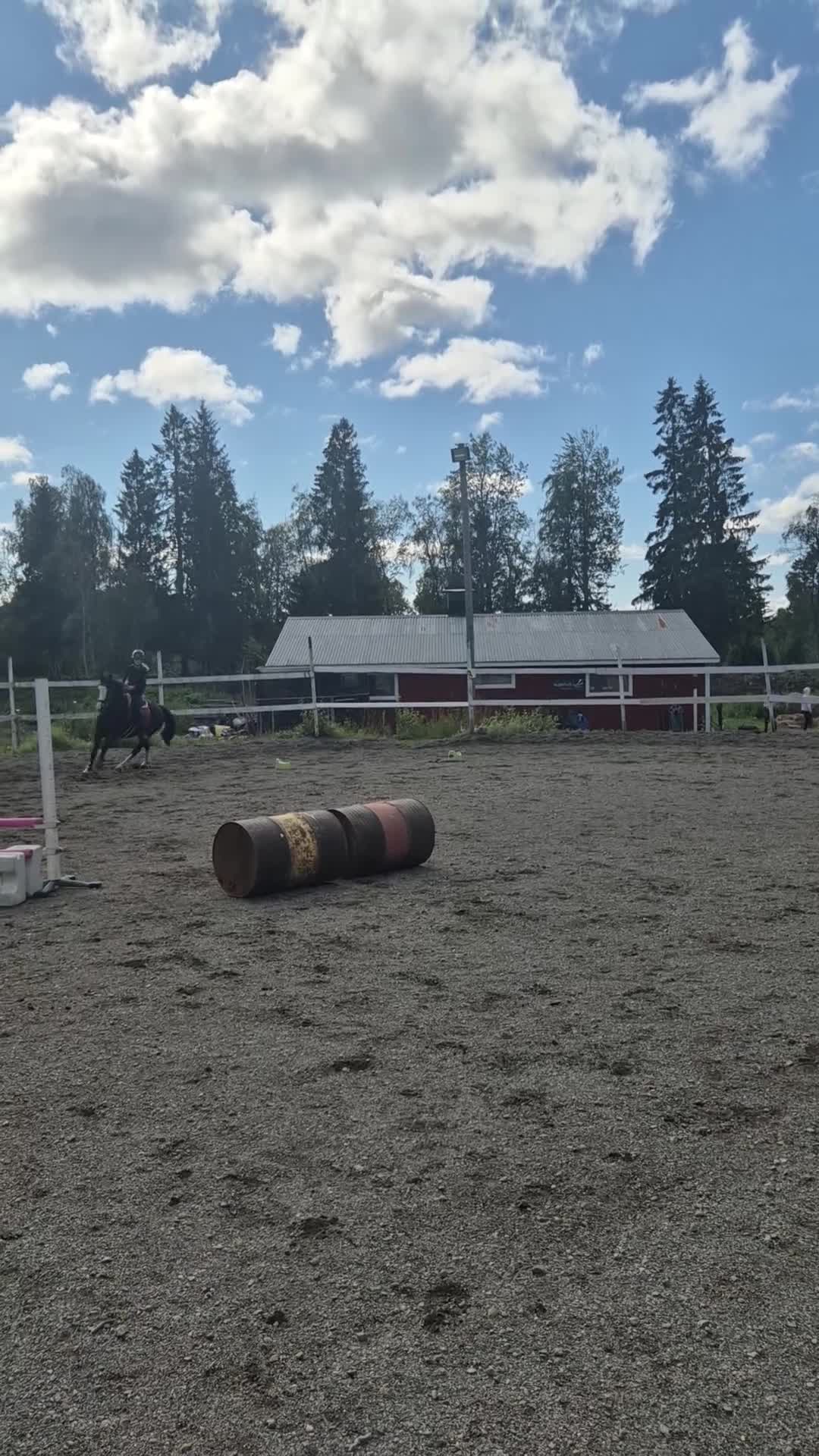 Allround hästar till salu: Maffig C-ponnyvalack - Video 4