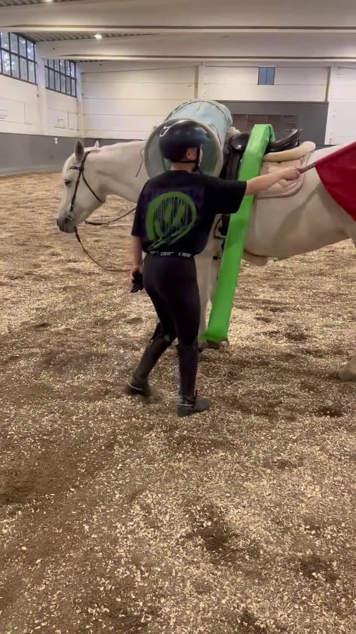 Allround hästar till salu: Mysig allaroundponny! - Video 4