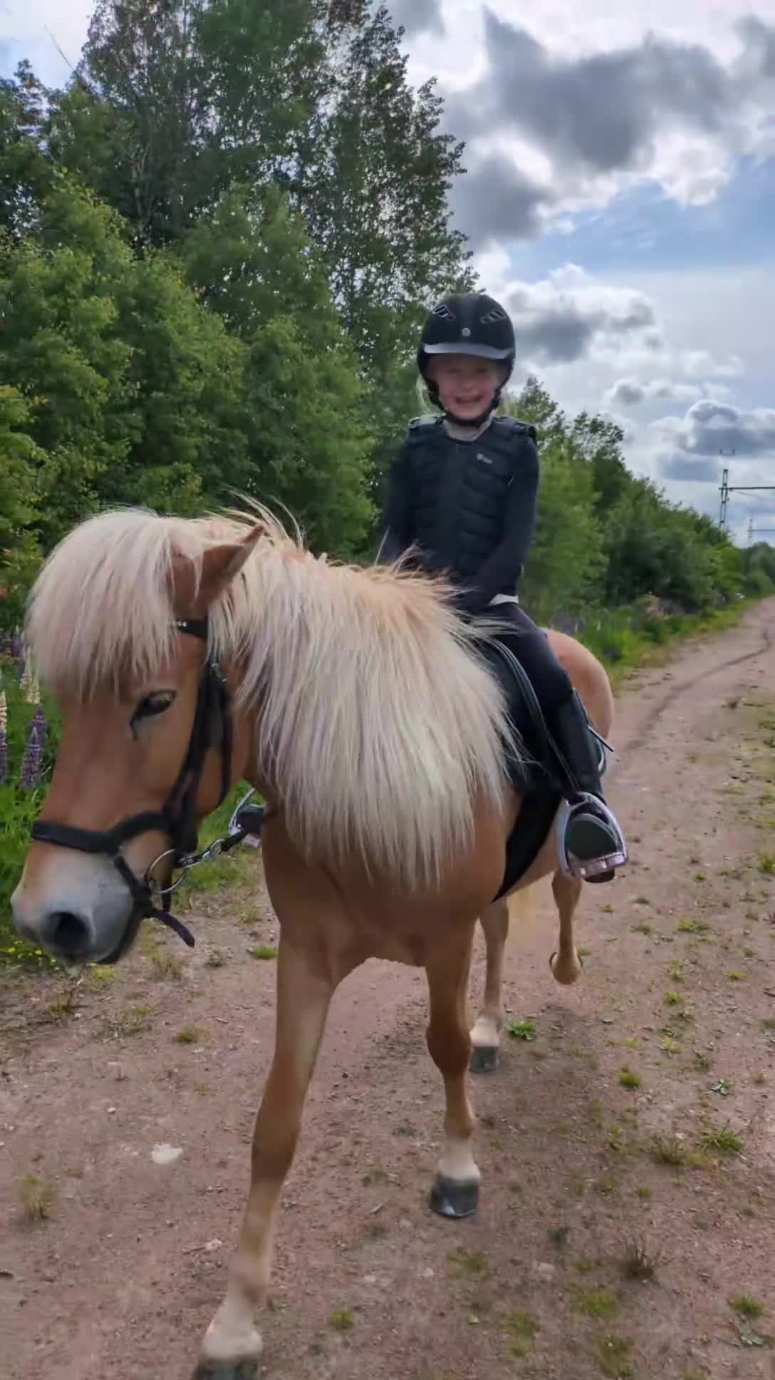 Allround hästar till salu: Fantastisk nybörjarponny - Video 1