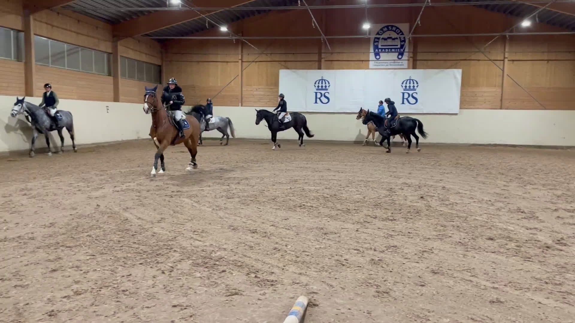 Hoppning hästar till salu: Trevligt SWB-sto i Kumla - Video 3