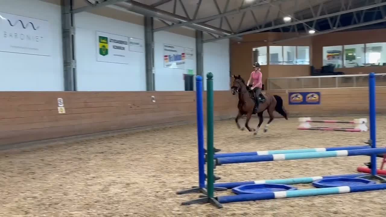Hoppning hästar till salu: Sto med power - Video 4