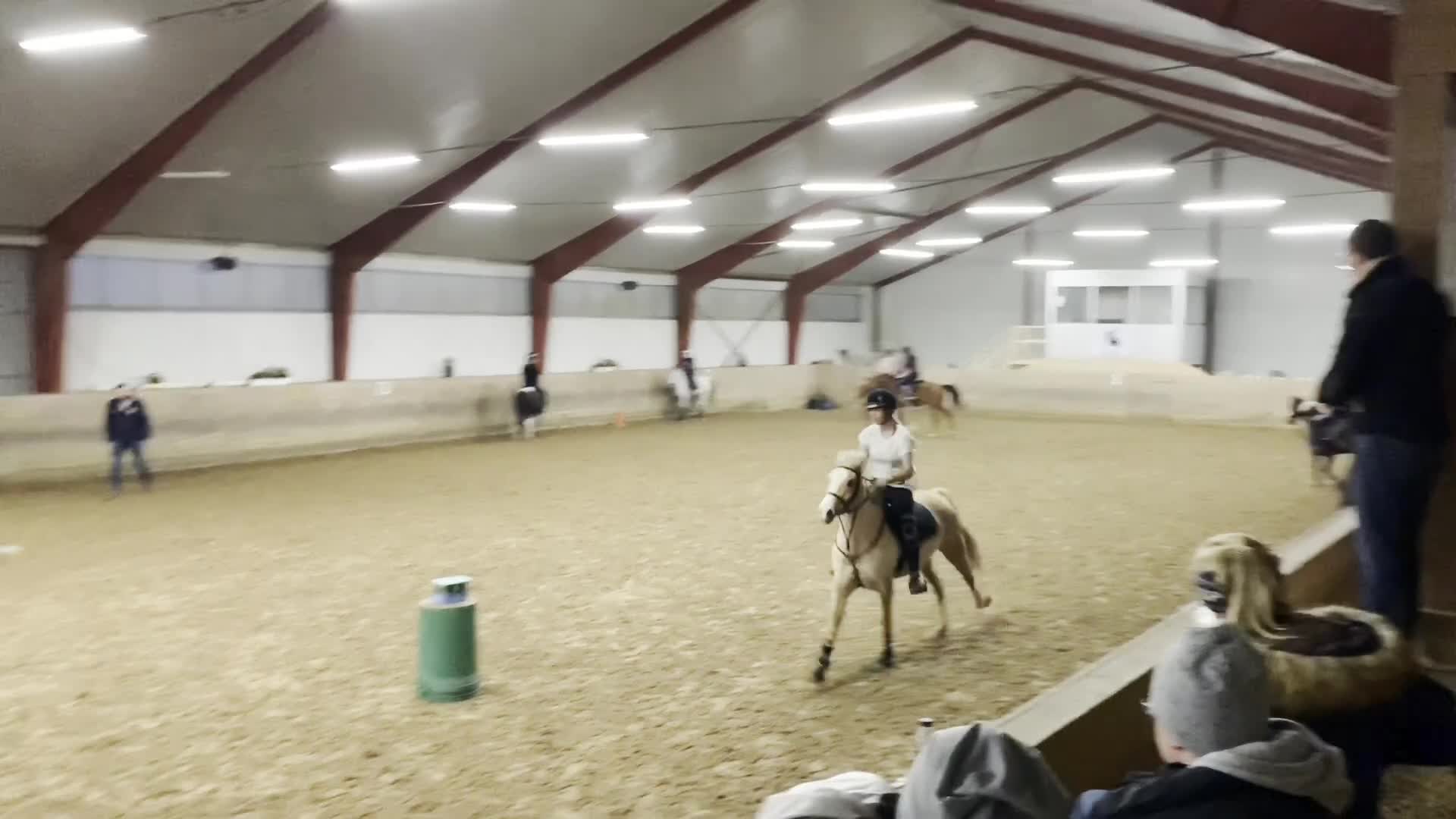 Allround hästar till salu: Underbar allroundponny - Video 5