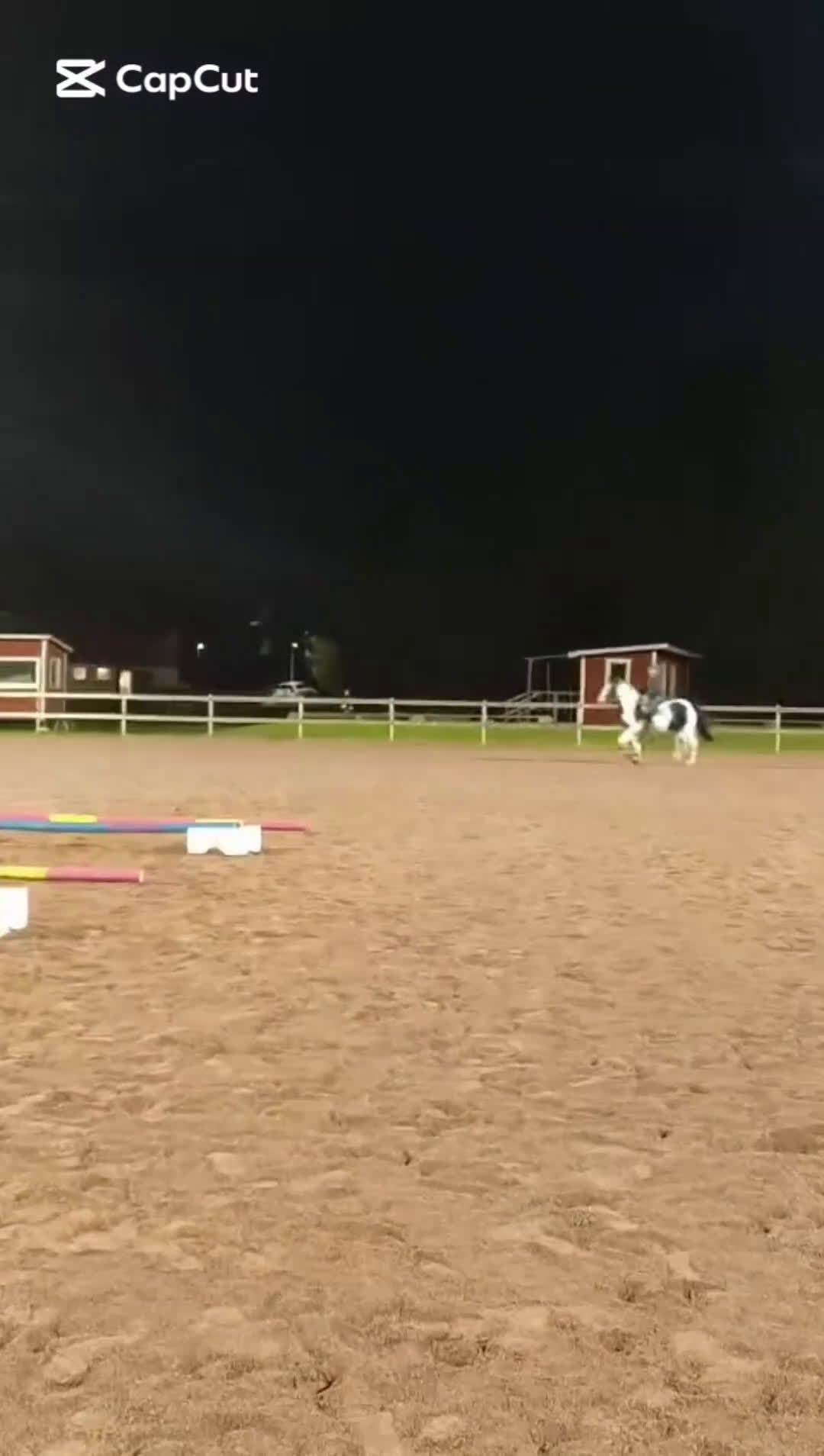  foderhäst sökes: Söker Foderhäst! - Video 2