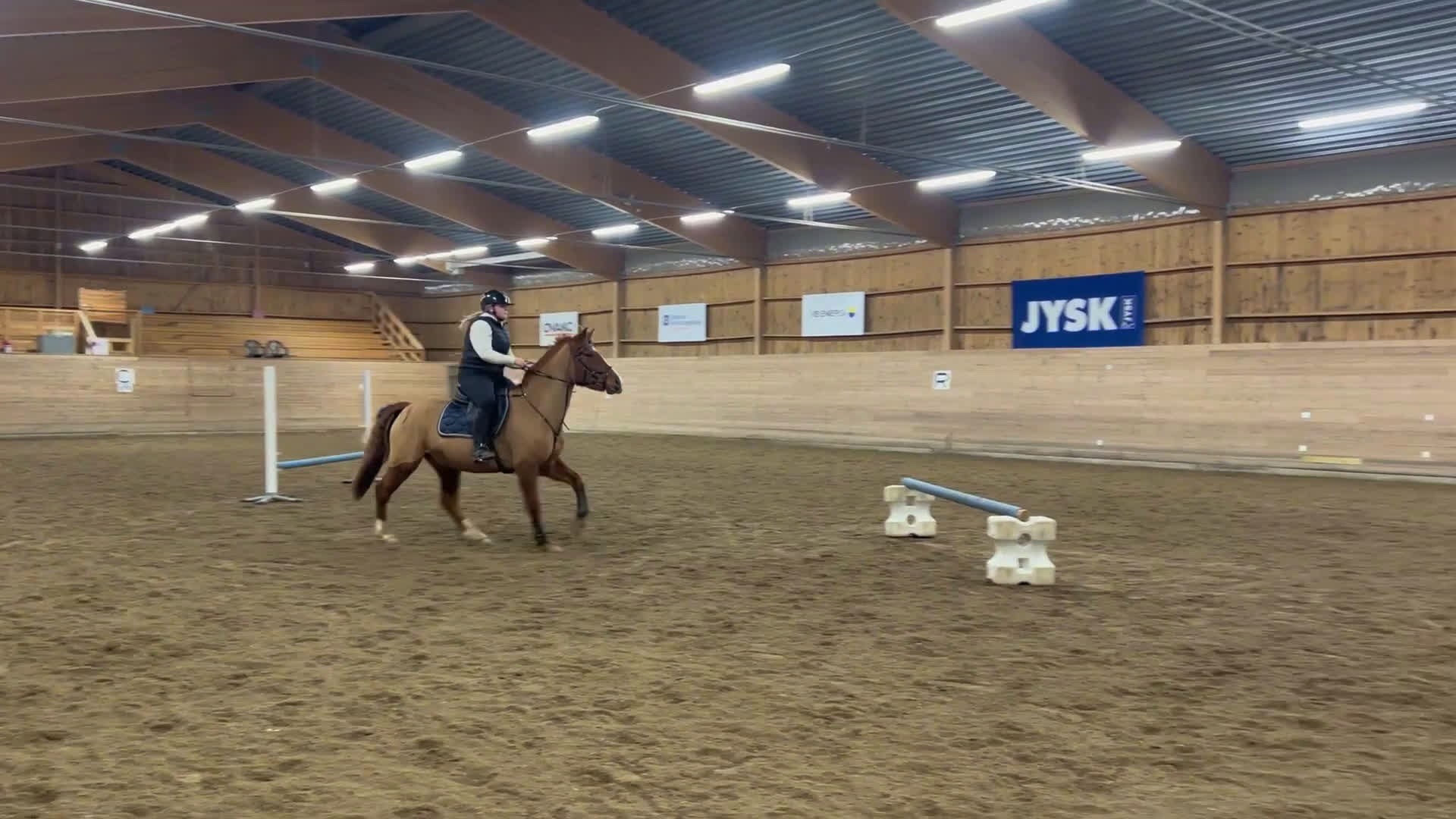 Allround hästar till salu: Underbara Madonna maxad D-ponny i Smedjebacken - Video 4