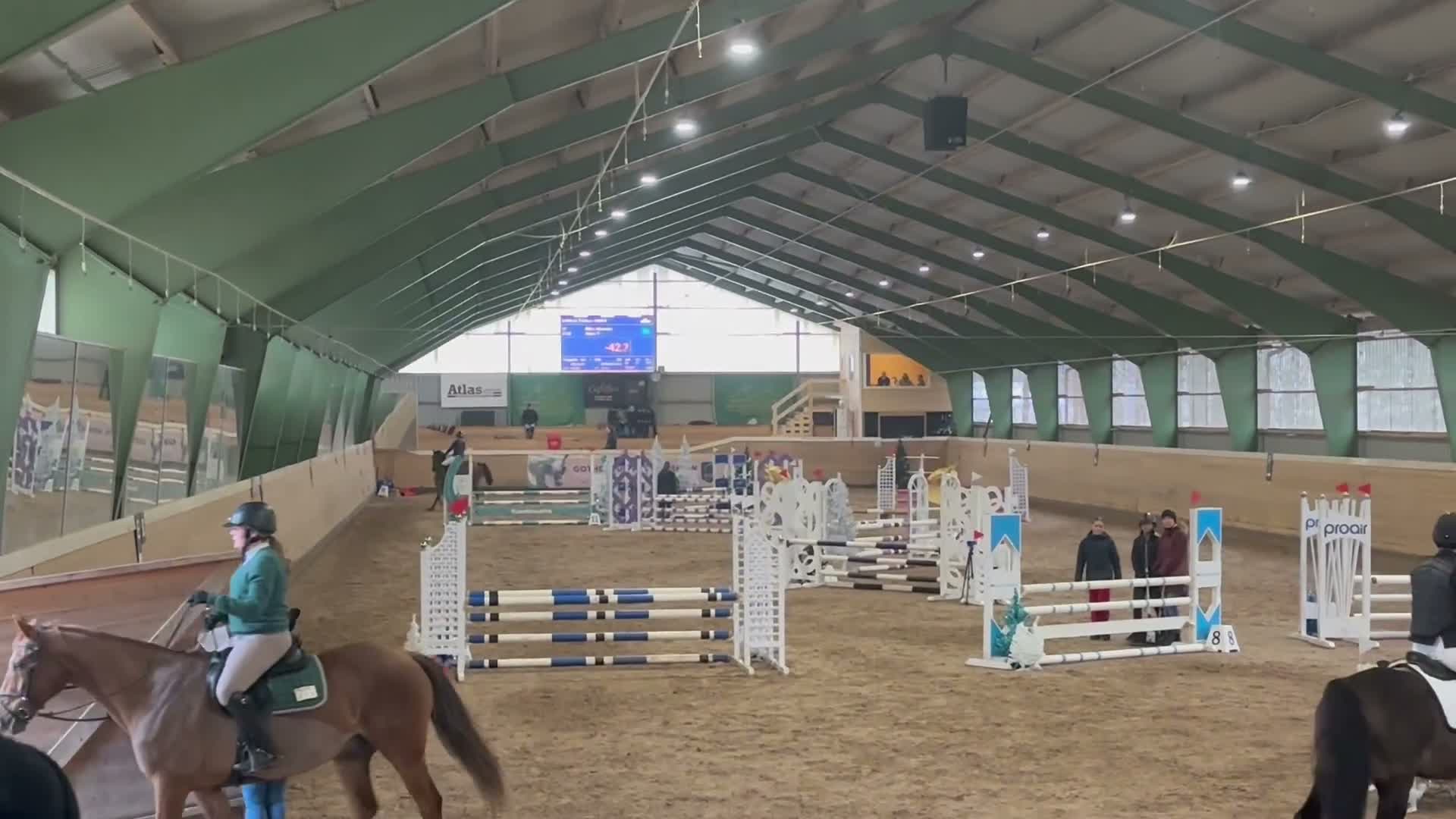 Allround hästar till salu: Mångsidig valack med mycket personlighet✨ i Norrköping - Video 1
