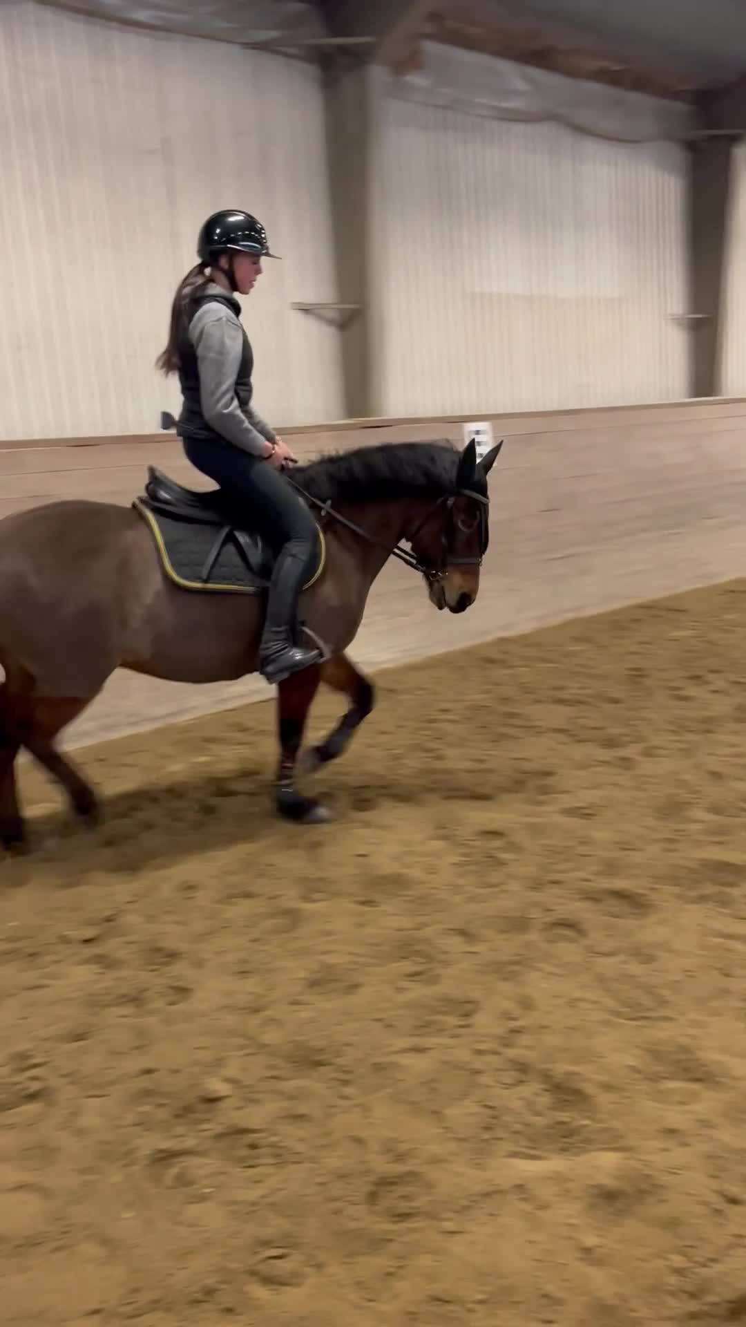 Allround hästar till salu: Ponny med stort hjärta söker fem ⭐️ hem i Spekeröd - Video 3