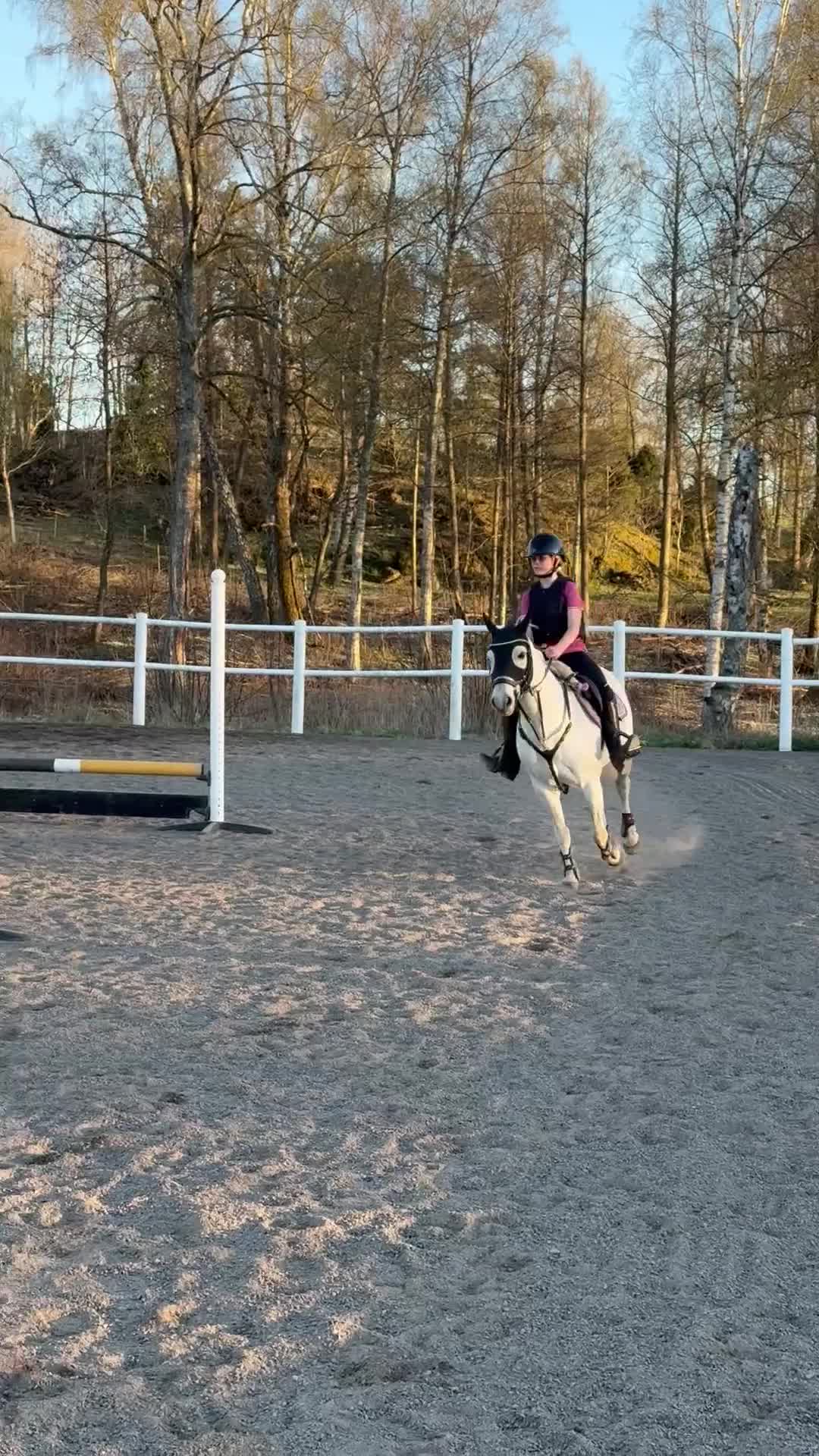 Allround hästar till salu: Snällaste första ponnyn 🌟 - Video 1