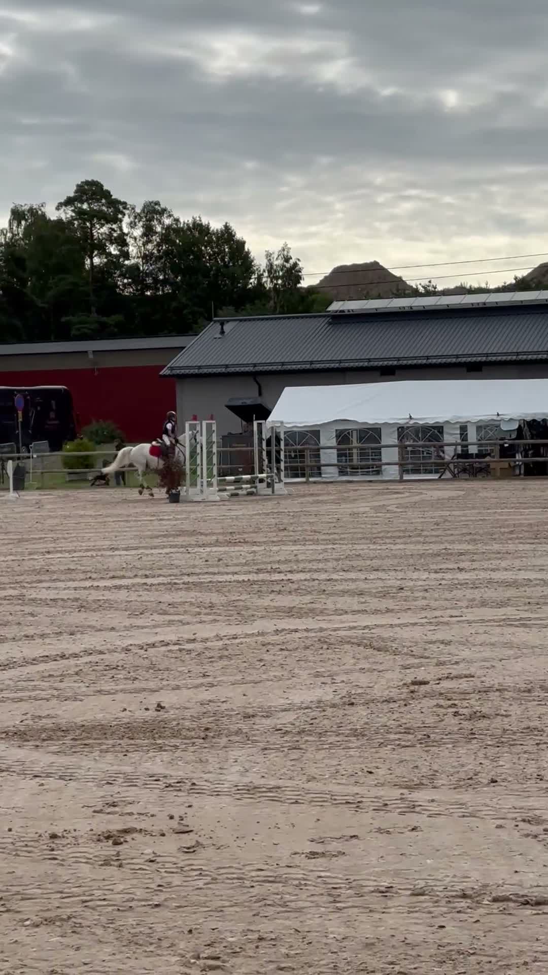 Hoppning hästar till salu: Irländsk super maxad b-ponny! i Västervik - Video 3