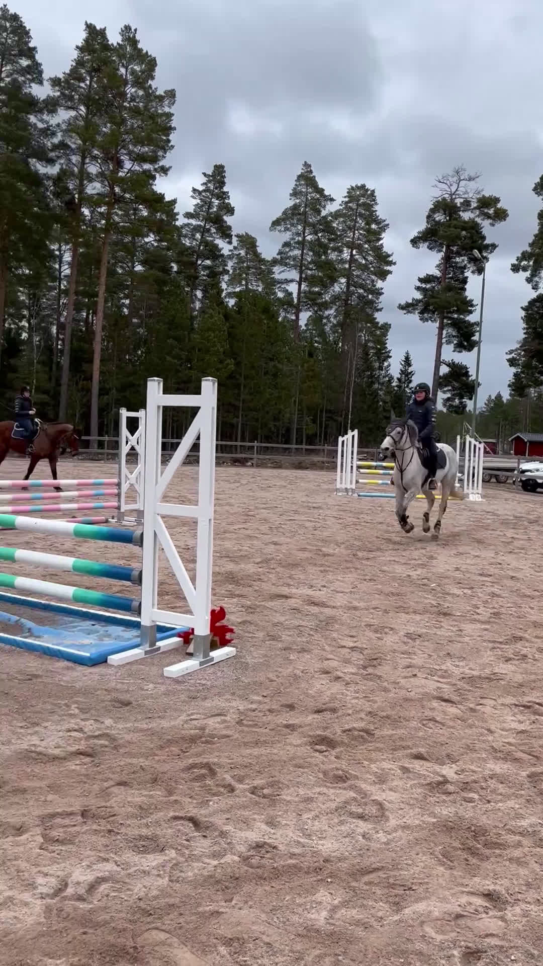 Allround hästar till salu: Mysig hobbyponny  - Video 2
