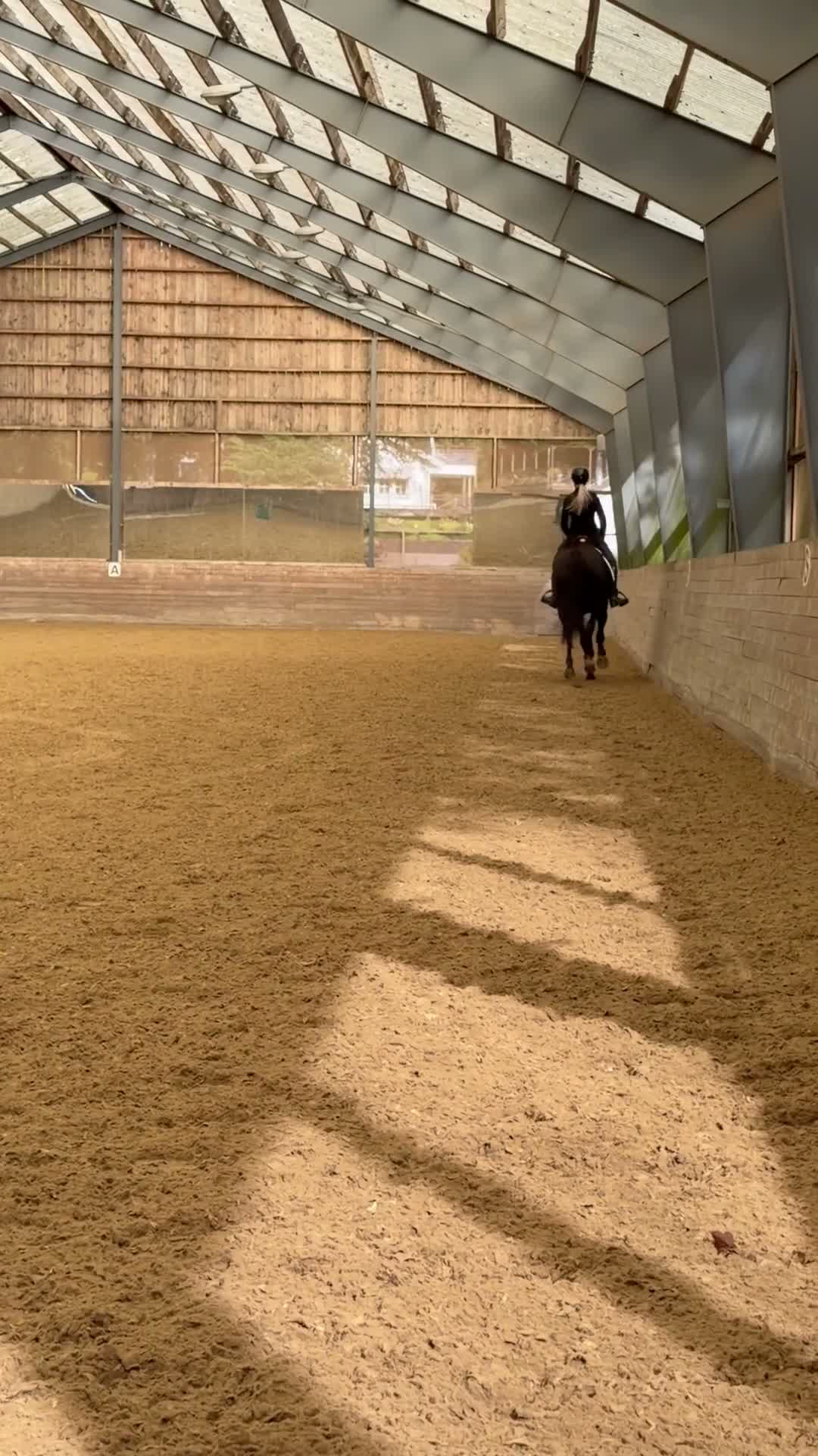 Dressyr hästar till salu: Maffigt sto med utstrålning!  - Video 2