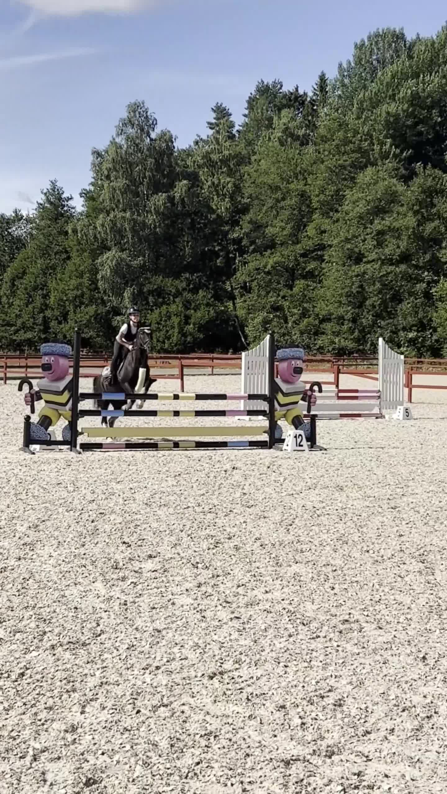 Allround hästar till salu: Tävlingskompis med erfarenhet  - Video 3
