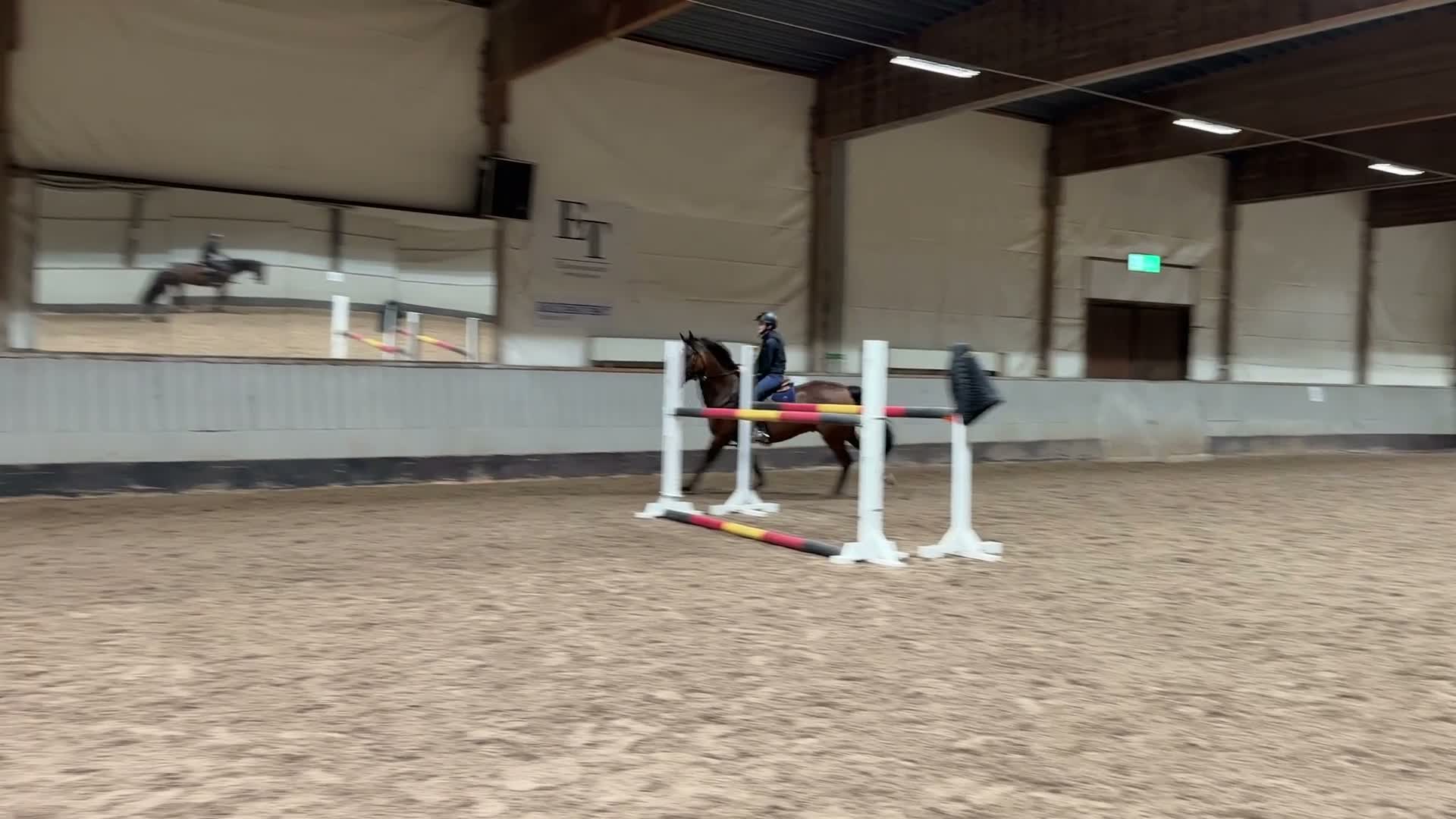 Hoppning hästar till salu: Världens bästa läromästare  i Karlskoga - Video 2