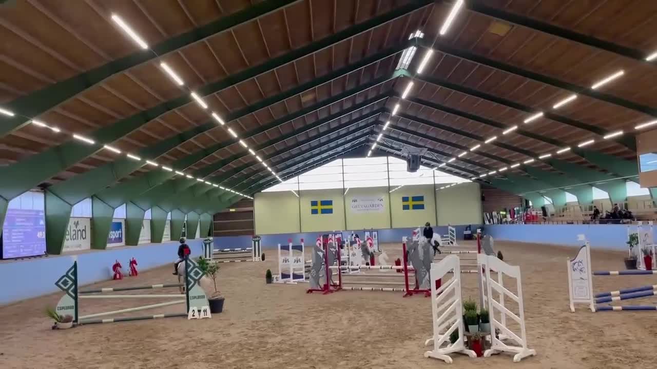 Hoppning hästar till salu: Rutinerad tävlingsponny - Video 1
