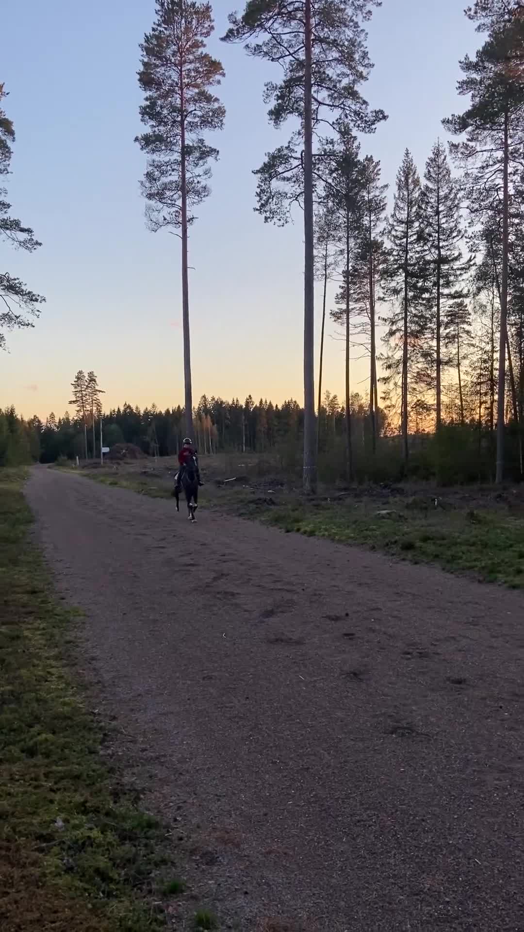 Allround hästar till salu: Snäll Skogsmulle - Video 2