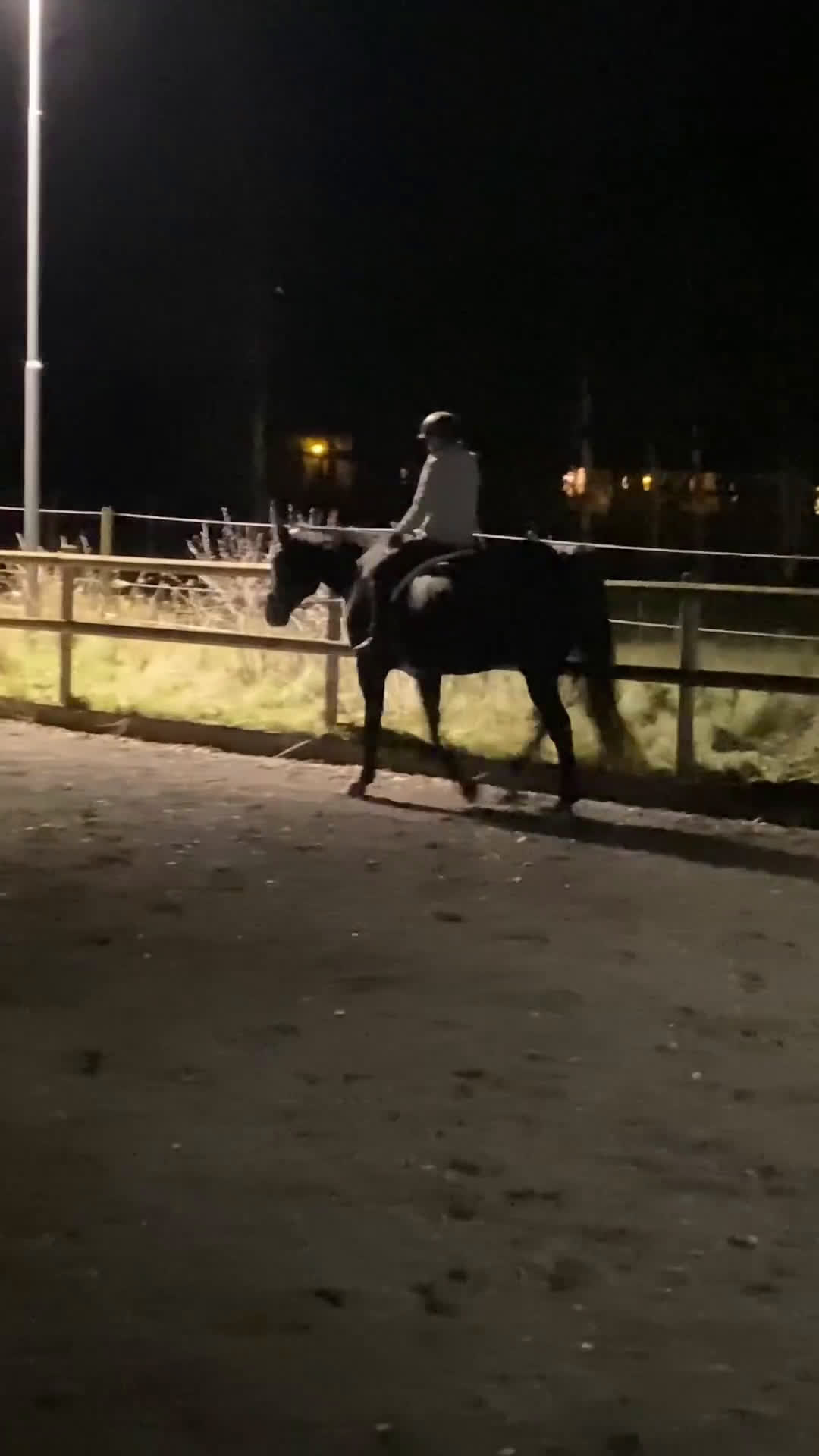  medryttarhäst sökes: Söker en kompis att utvecklas med!😍 - Video 4