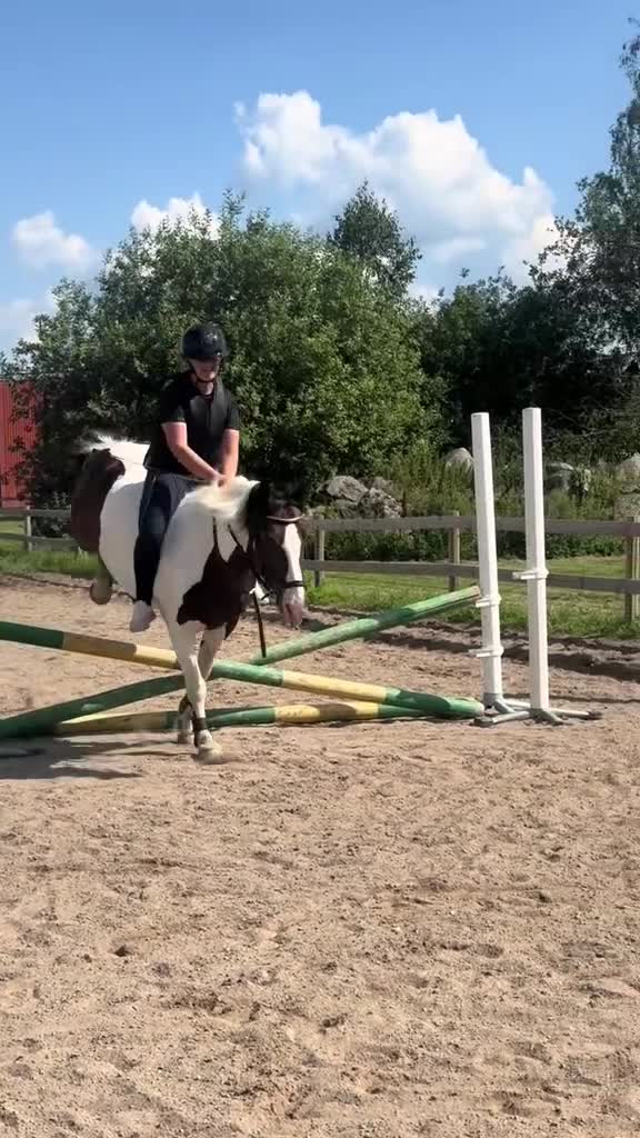  medryttarhäst sökes: Söker medryttarhäst i Vällingby - Video 1