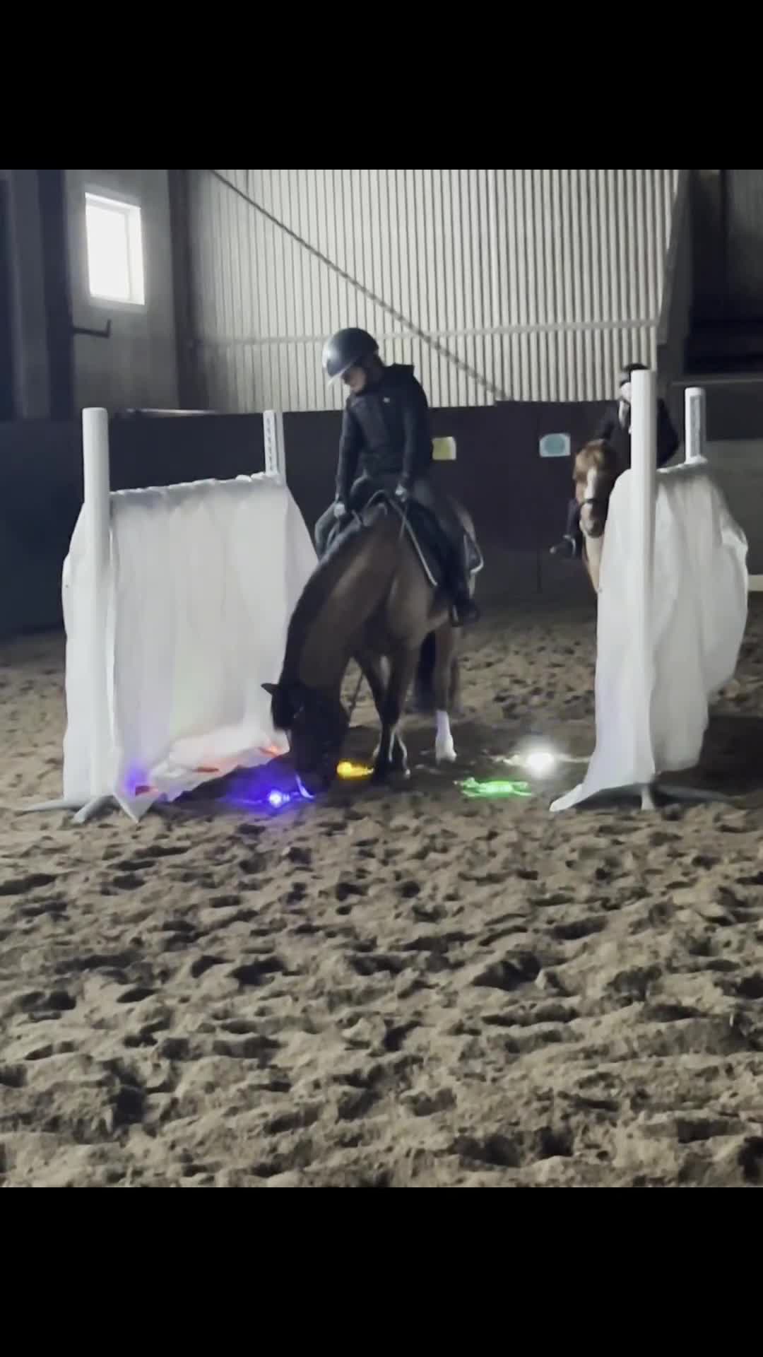 Allround hästar till salu: 🌸 Perfekt barnponny med ett hjärta av guld! 🌸 - Video 1