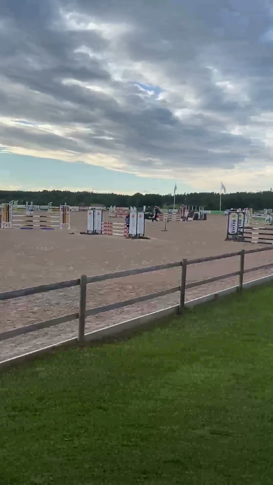 Hoppning hästar till salu: SILLOGUE JAZZ – en ponny utöver det vanliga i Boo - Video 1