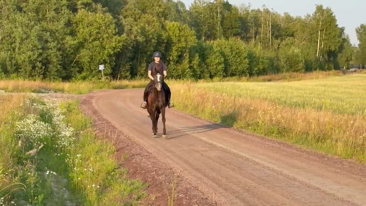 Allround hästar till salu: *Reserverad* Otroligt söt och positiv ungponny - Video 2