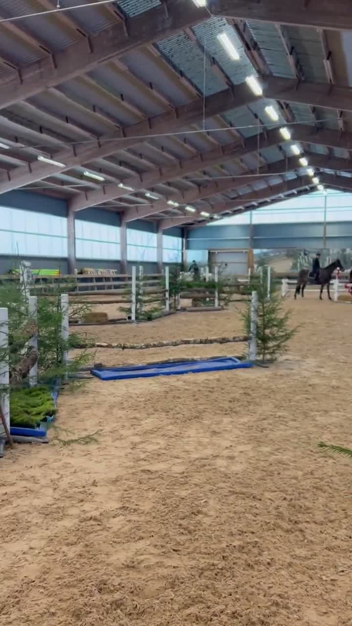 Allround hästar till salu: Hoppglad D-ponny  - Video 1