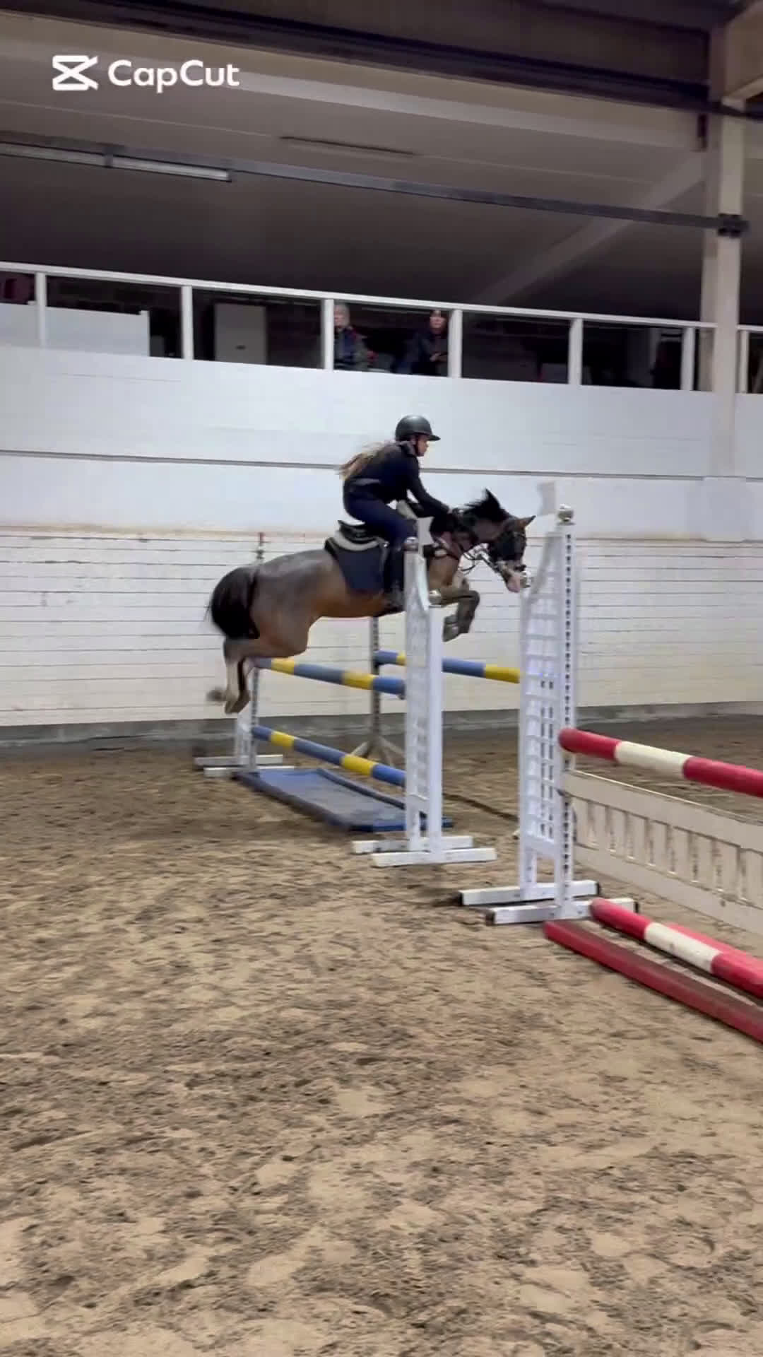 Hoppning hästar till salu:  Fru Fru  i Sorunda - Video 4