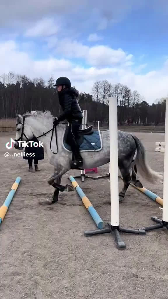 Hoppning hästar till salu: Fantastisk C-ponny säljes. i Grödinge - Video 2